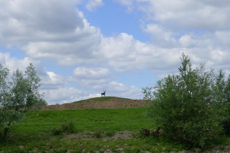 Afbeelding