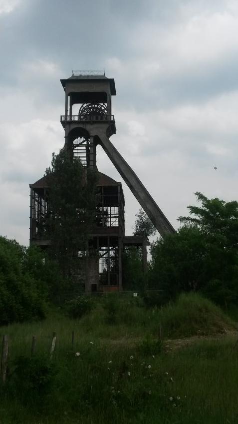 Afbeelding